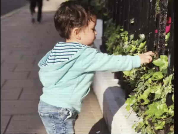 क्रिकेटर का ख्वाब