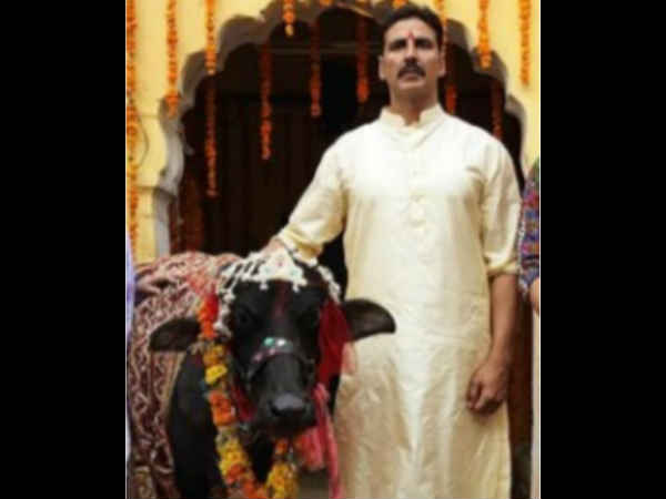 गोमूत्र पियो, स्वस्थ रहो गोमूत्र पियो, स्वस्थ रहो