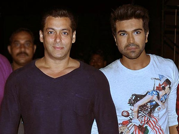 किक 2 और टाइगर 3 किक 2 और टाइगर 3