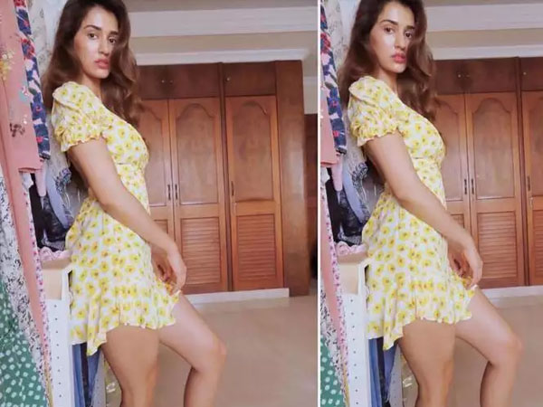 दिशा पटानी की हॅाट तस्वीरें दिशा पटानी की हॅाट तस्वीरें