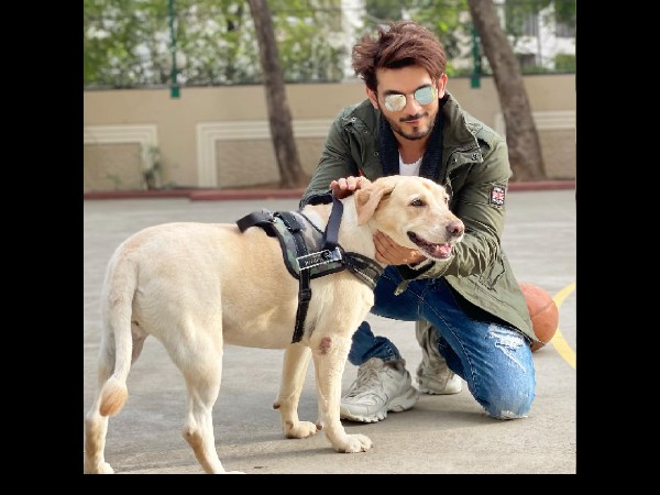 शो में कई सारे खतरनाक टास्क होंगे, आपको किसका सबसे अधिक डर है? शो में कई सारे खतरनाक टास्क होंगे, आपको किसका सबसे अधिक डर है?