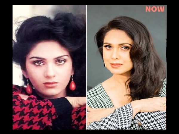 मीनाक्षी शेषाद्रि की आज और कल की तस्वीर मीनाक्षी शेषाद्रि की आज और कल की तस्वीर