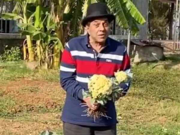 लॉकडाउन से पहले से बंद लॉकडाउन से पहले से बंद