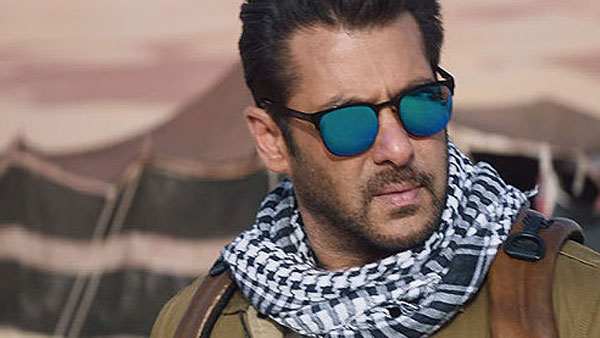 टाइगर 3 के बाद साइन करेंगे फिल्म टाइगर 3 के बाद साइन करेंगे फिल्म