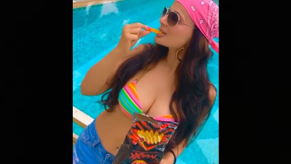 गदर 2 से अमीषा पटेल की वापसी गदर 2 से अमीषा पटेल की वापसी