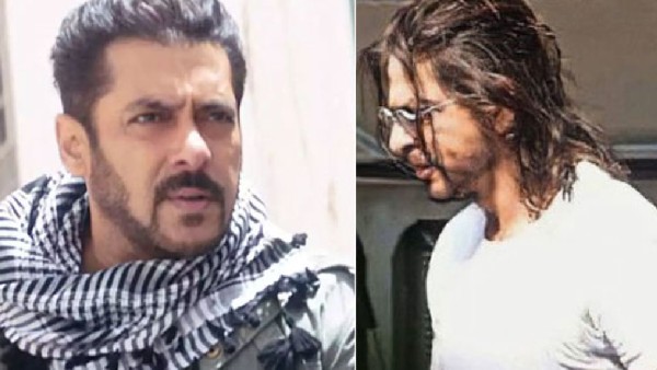 शाहरुख खान ने सलमान खान से छीनेंगे उनका त्योहार शाहरुख खान ने सलमान खान से छीनेंगे उनका त्योहार