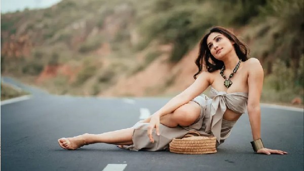 डोनल बिष्ट की वेब सीरीज डोनल बिष्ट की वेब सीरीज