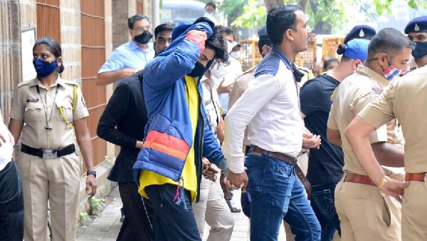 एनसीबी ने बरामद किया 13 किलो कोकिन एनसीबी ने बरामद किया 13 किलो कोकिन