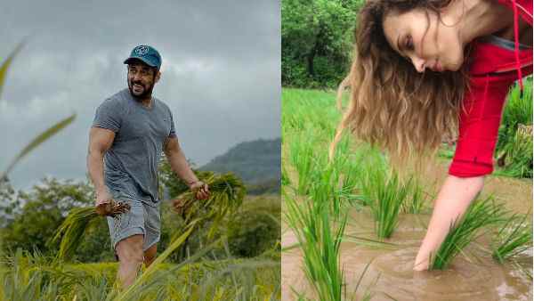 काफी ट्रेंड में रहा पणवेल काफी ट्रेंड में रहा पणवेल