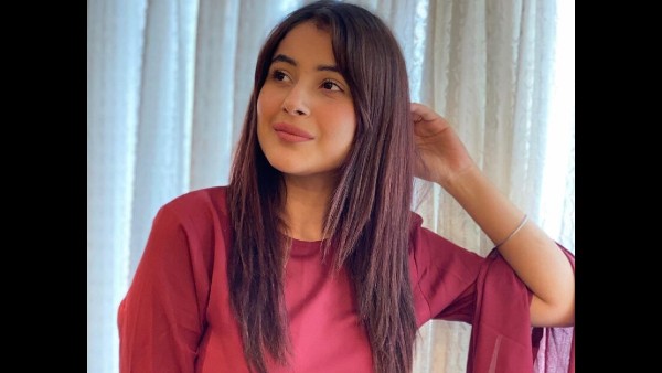 शहनाज गिल की लोकप्रियता शहनाज गिल की लोकप्रियता