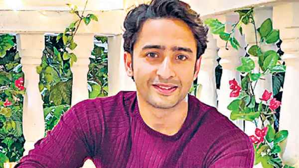 सबके फेवरिट हैं शाहीर शेख सबके फेवरिट हैं शाहीर शेख