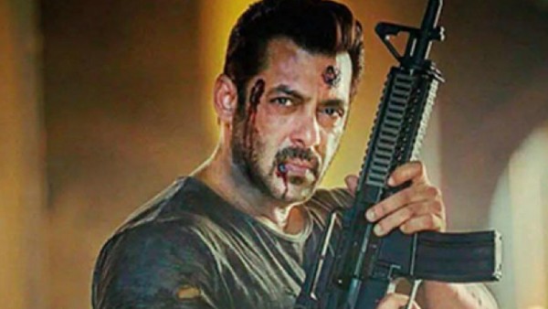 टाइगर 3 टाइगर 3