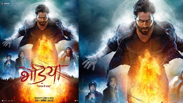 दोस्तों की फिल्मों का प्रमोशन करते नजर आते रहते हैं दोस्तों की फिल्मों का प्रमोशन करते नजर आते रहते हैं