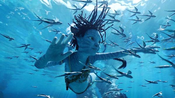 avatar-2-becomes-highest-grossing-hollywood-film-in-india-also-7th-highest-grossing-film-in-history avatar-2-becomes-highest-grossing-hollywood-film-in-india-also-7th-highest-grossing-film-in-history